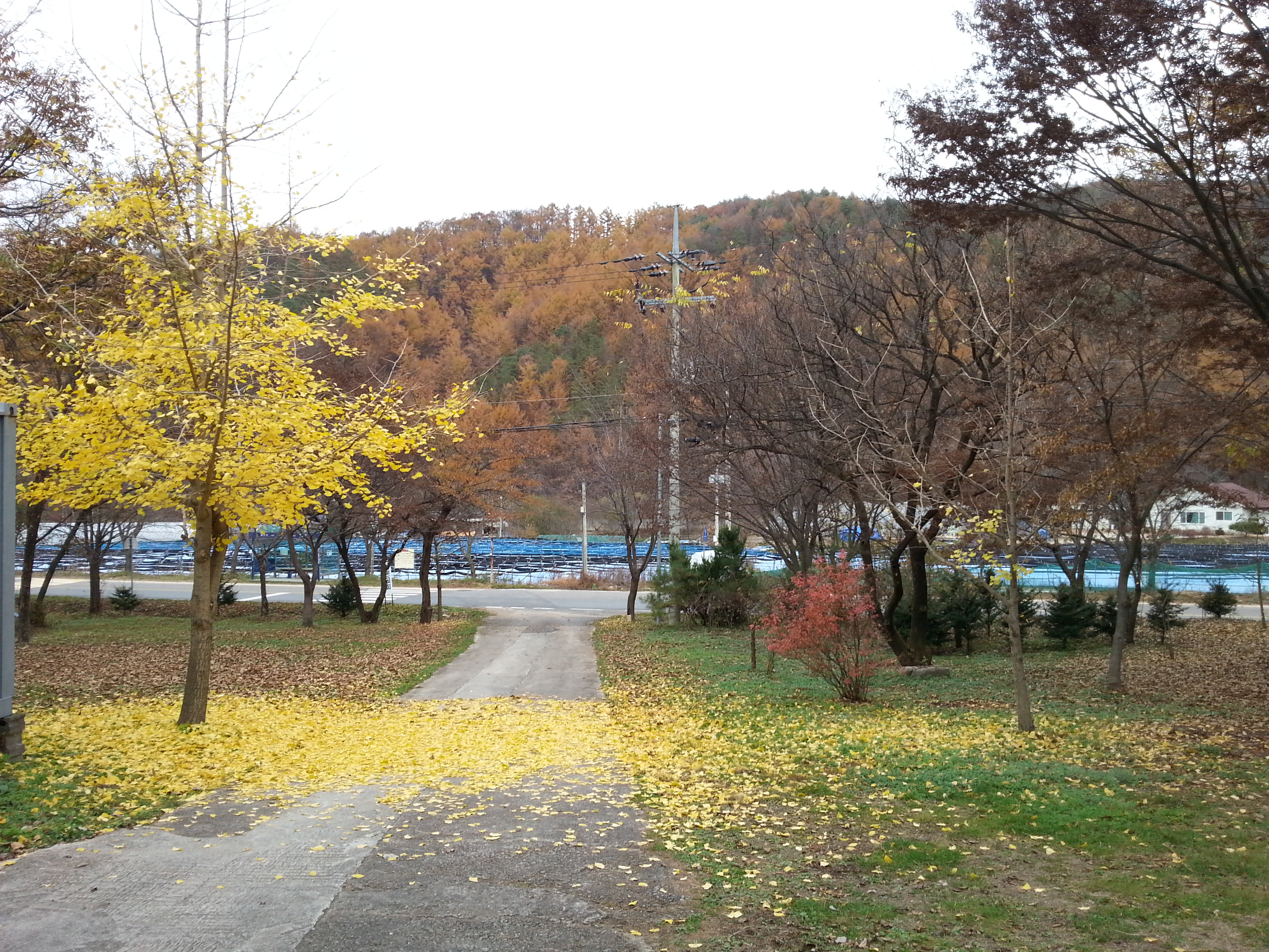 20131109_143845.jpg